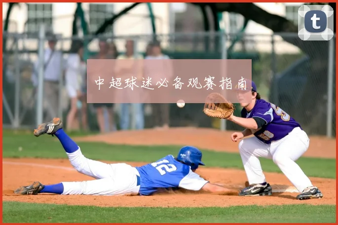 中超球迷必备观赛指南
