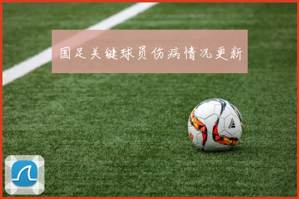 国足关键球员伤病情况更新